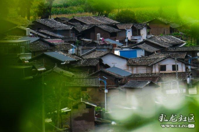 胧月解开九连环,却被准格尔指定和亲,敬妃到底有多心疼?